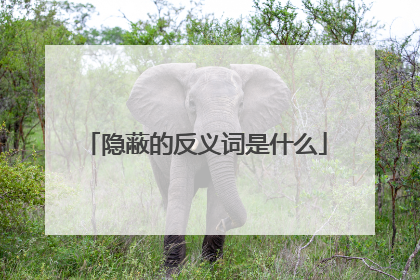 隐蔽的反义词是什么