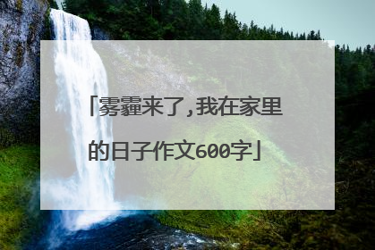 雾霾来了,我在家里的日子作文600字