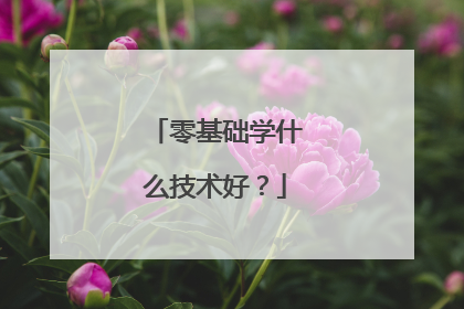 零基础学什么技术好?