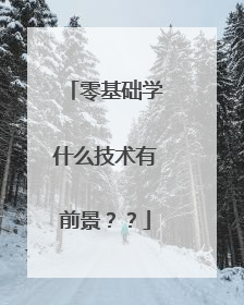 零基础学什么技术有前景??