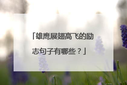 雄鹰展翅高飞的励志句子有哪些?
