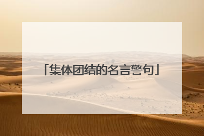 集体团结的名言警句