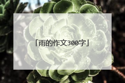 雨的作文300字