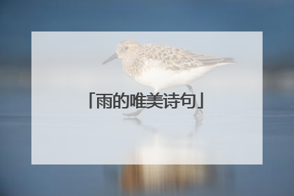 雨的唯美诗句