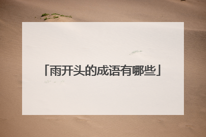 雨开头的成语有哪些