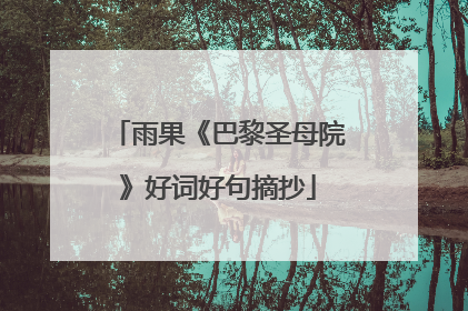 雨果《巴黎圣母院》好词好句摘抄