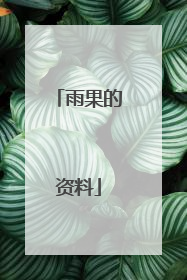 雨果的资料