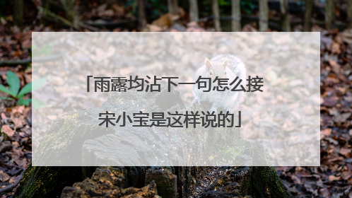 雨露均沾下一句怎么接 宋小宝是这样说的