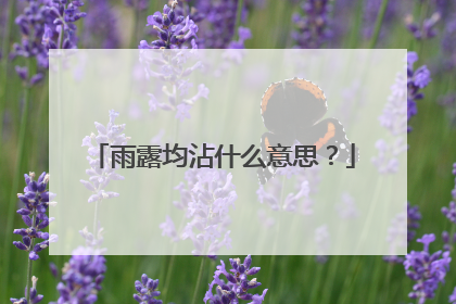 雨露均沾什么意思？
