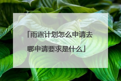 雨露计划怎么申请去哪申请要求是什么