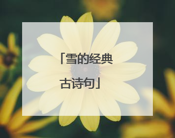 雪的经典古诗句