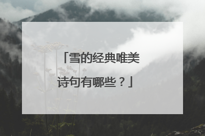 雪的经典唯美诗句有哪些?