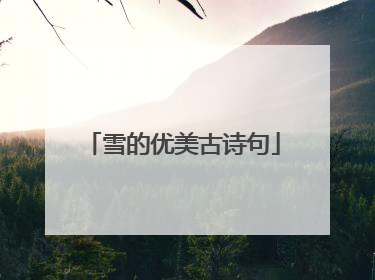 雪的优美古诗句