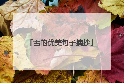 雪的优美句子摘抄