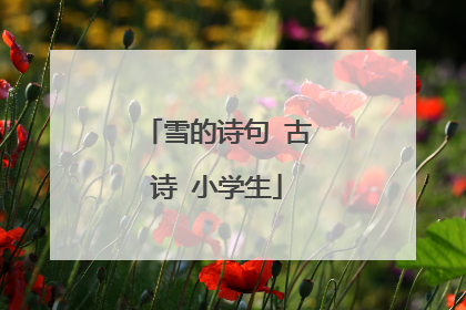 雪的诗句 古诗 小学生
