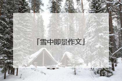 雪中即景作文