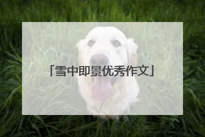 雪中即景优秀作文