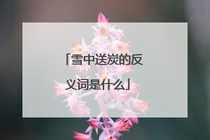 雪中送炭的反义词是什么