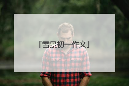 雪景初一作文