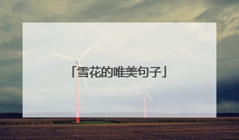 雪花的唯美句子