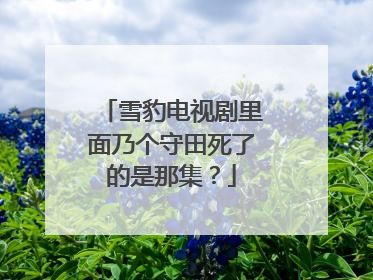 雪豹电视剧里面乃个守田死了的是那集?