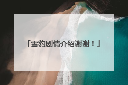 雪豹剧情介绍谢谢!