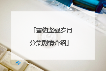 雪豹坚强岁月分集剧情介绍