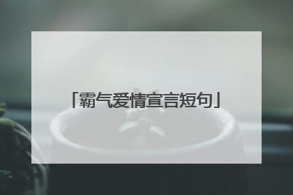 霸气爱情宣言短句