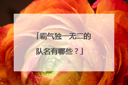 霸气独一无二的队名有哪些？