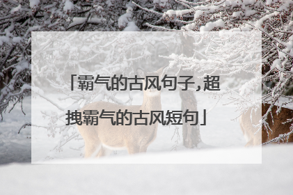 霸气的古风句子,超拽霸气的古风短句