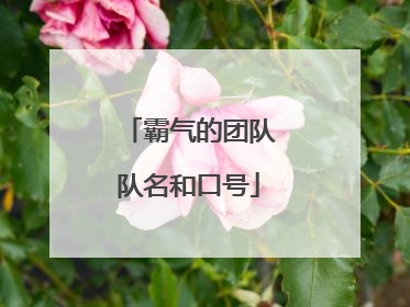 霸气的团队队名和口号