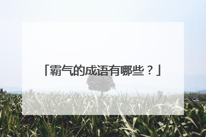 霸气的成语有哪些？