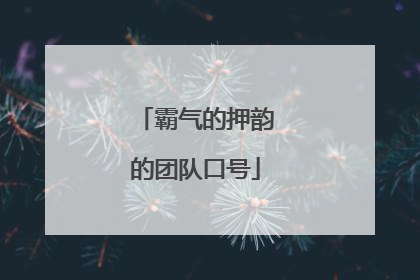 霸气的押韵的团队口号