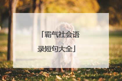 霸气社会语录短句大全