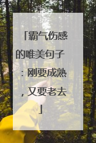 霸气伤感的唯美句子：刚要成熟，又要老去