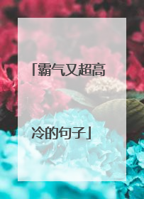 霸气又超高冷的句子