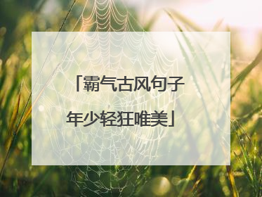 霸气古风句子年少轻狂唯美