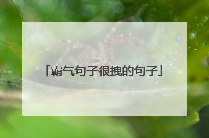 霸气句子很拽的句子