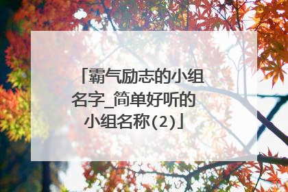 霸气励志的小组名字_简单好听的小组名称(2)