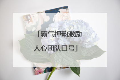 霸气押韵激励人心团队口号