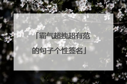霸气超拽超有范的句子个性签名