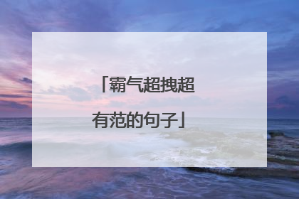 霸气超拽超有范的句子