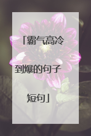 霸气高冷到爆的句子短句