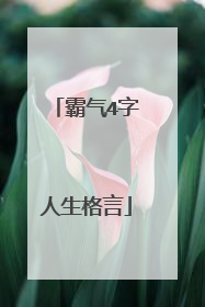 霸气4字人生格言