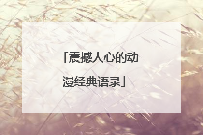 震撼人心的动漫经典语录
