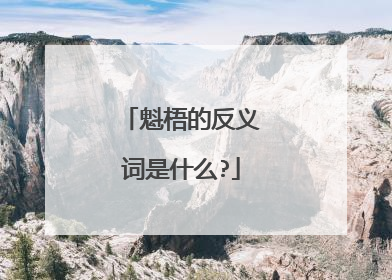 魁梧的反义词是什么?