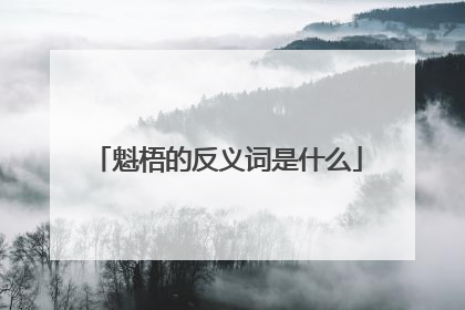 魁梧的反义词是什么