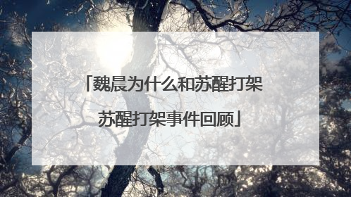 魏晨为什么和苏醒打架 苏醒打架事件回顾