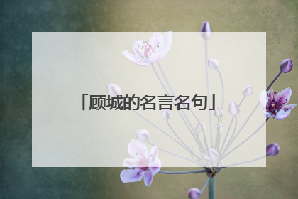 顾城的名言名句