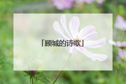 顾城的诗歌